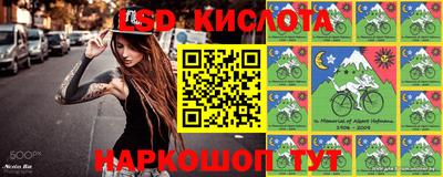 apvp Краснодар