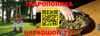 apvp Краснодар