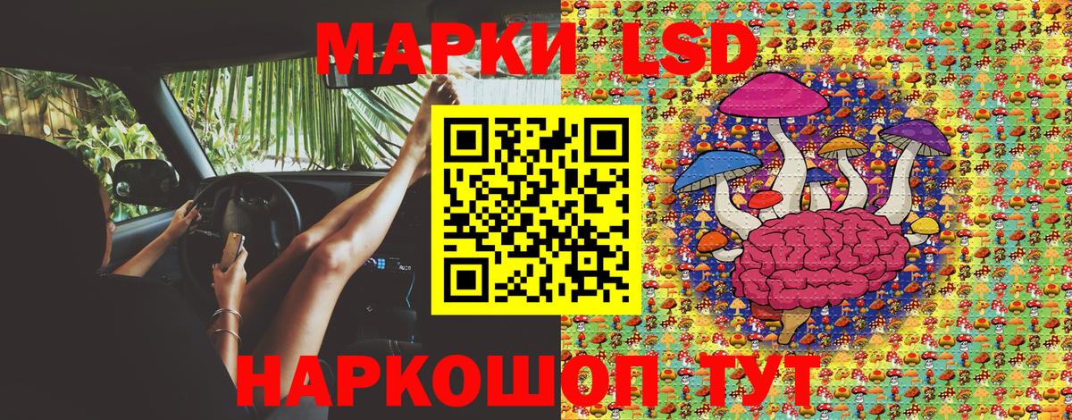 Alpha PVP Шахты