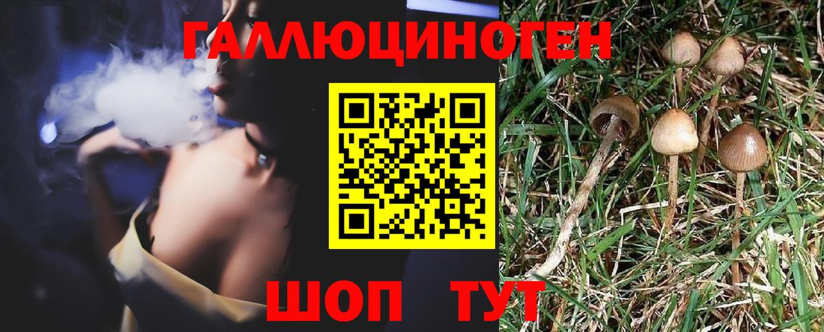 Шахты  Галлюциногенные грибы прущие грибы  Вход с VPN 